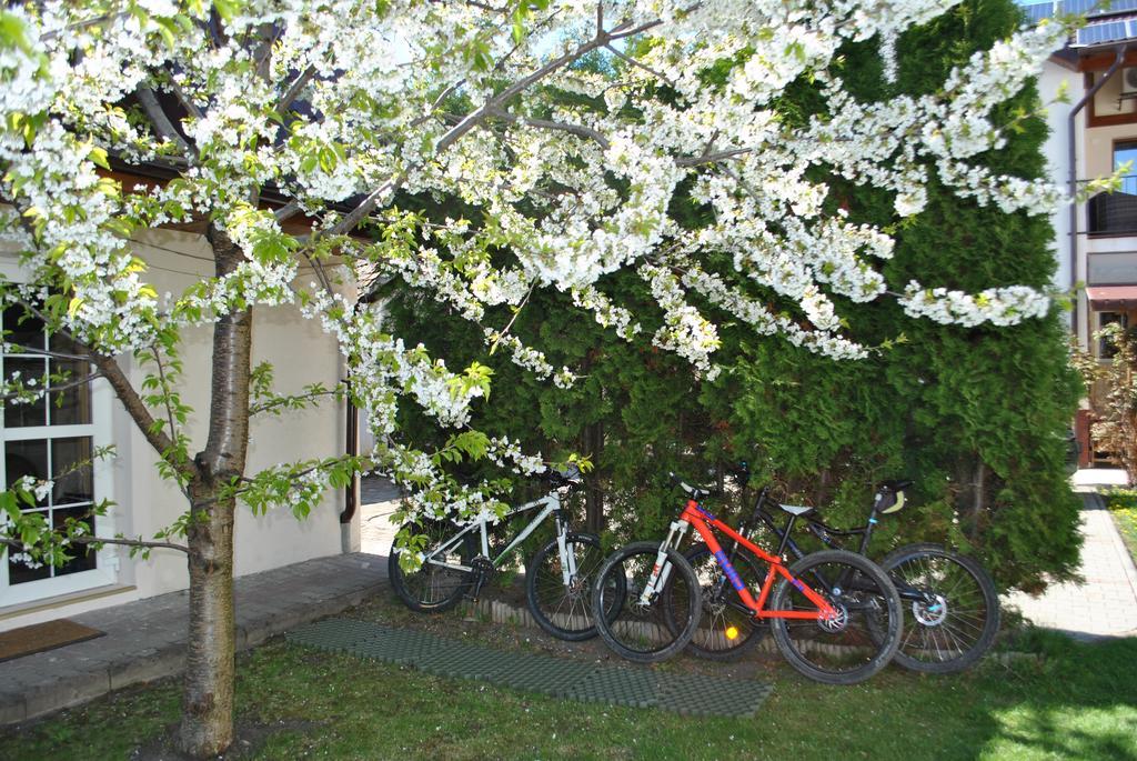 Apartament Beta Bistriţa Exterior foto